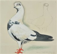 Lot 408 - Tunnicliffe (Charles Frederick, 1901-1979).