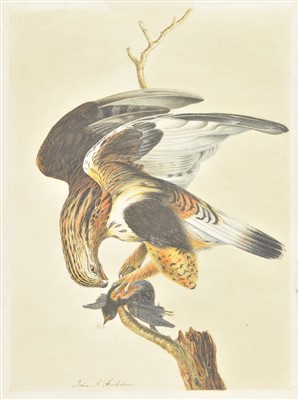 Lot 195 - Audubon, John James, school of