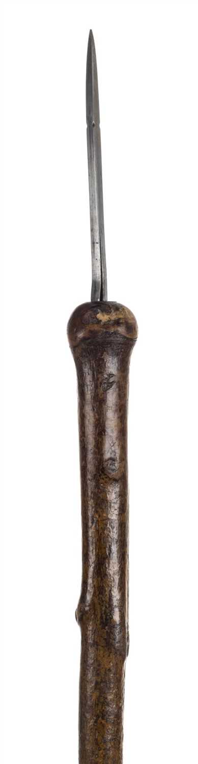 Lot 32 - Walking Stick.