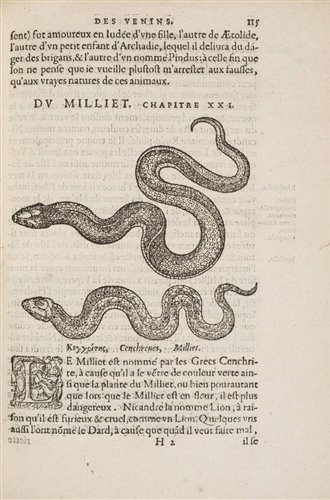 Lot 89 Grévin (Jacques).