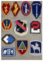 Lot 252 - American Military.