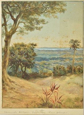 Lot 15 - South Seas. Norman Hayward Hardy (1842-1933), watercolour