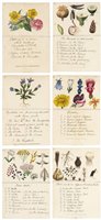 Lot 674 - Botanical cards.