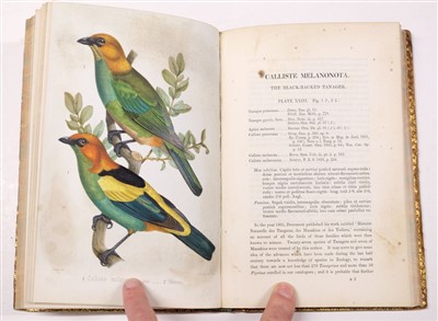 Lot 101 - Sclater (Philip Lutley). Monograph of the Tanagrine Genus Calliste, 1st edition, 1857-8
