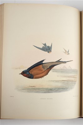 Lot 104 - Sharpe (Richard Bowdler, & Claude Willmott Wyatt). Monograph of the Hirundindae, 1885-94