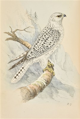 Lot 94 - Meyer (Henry Leonard). Coloured Illustrations of British Birds, 7 volumes, 1842-50