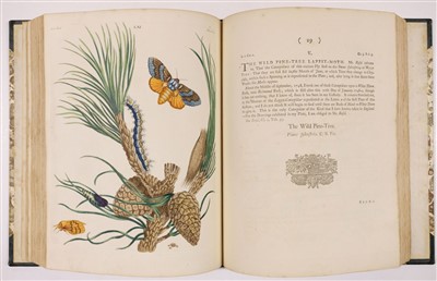 Lot 260 - Wilkes (Benjamin). One Hundred and Twenty Copper-Plates of English Moths and Butterflies, 1773