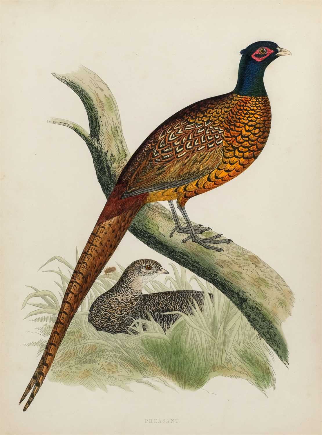Lot 384 - Morris (Beverley R.). British Game Birds and Wildfowl, 1870