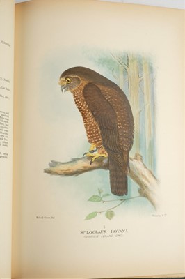 Lot 91 - Mathews (Gregory M.)  The Birds of Norfolk and Lord Howe Islands, 1st edition, 1928