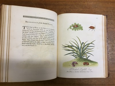 Lot 181 - Albin (Eleazar). A Natural History of English Insects, 5th edition, 1749