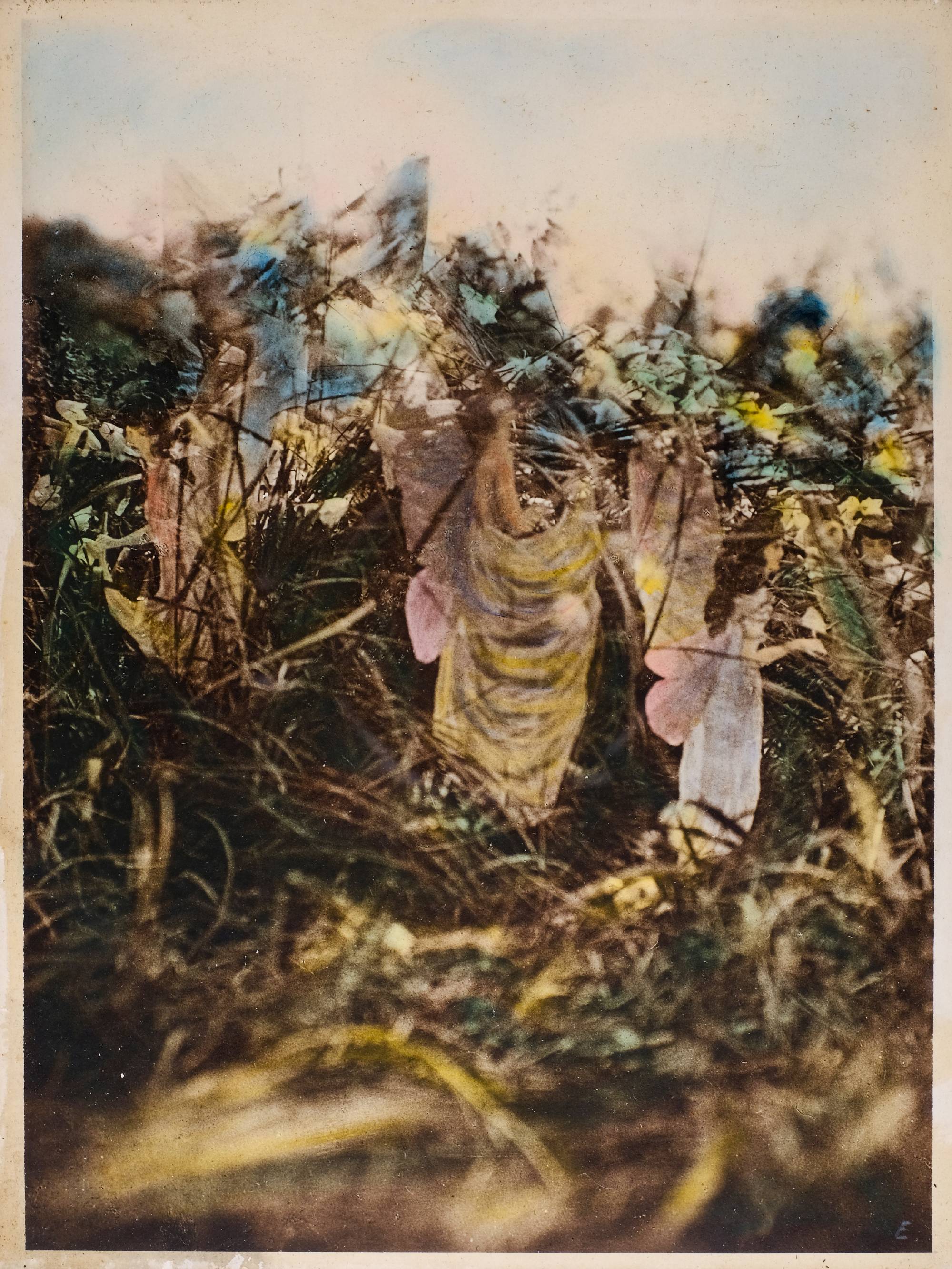Lot 343 The Cottingley Fairies.