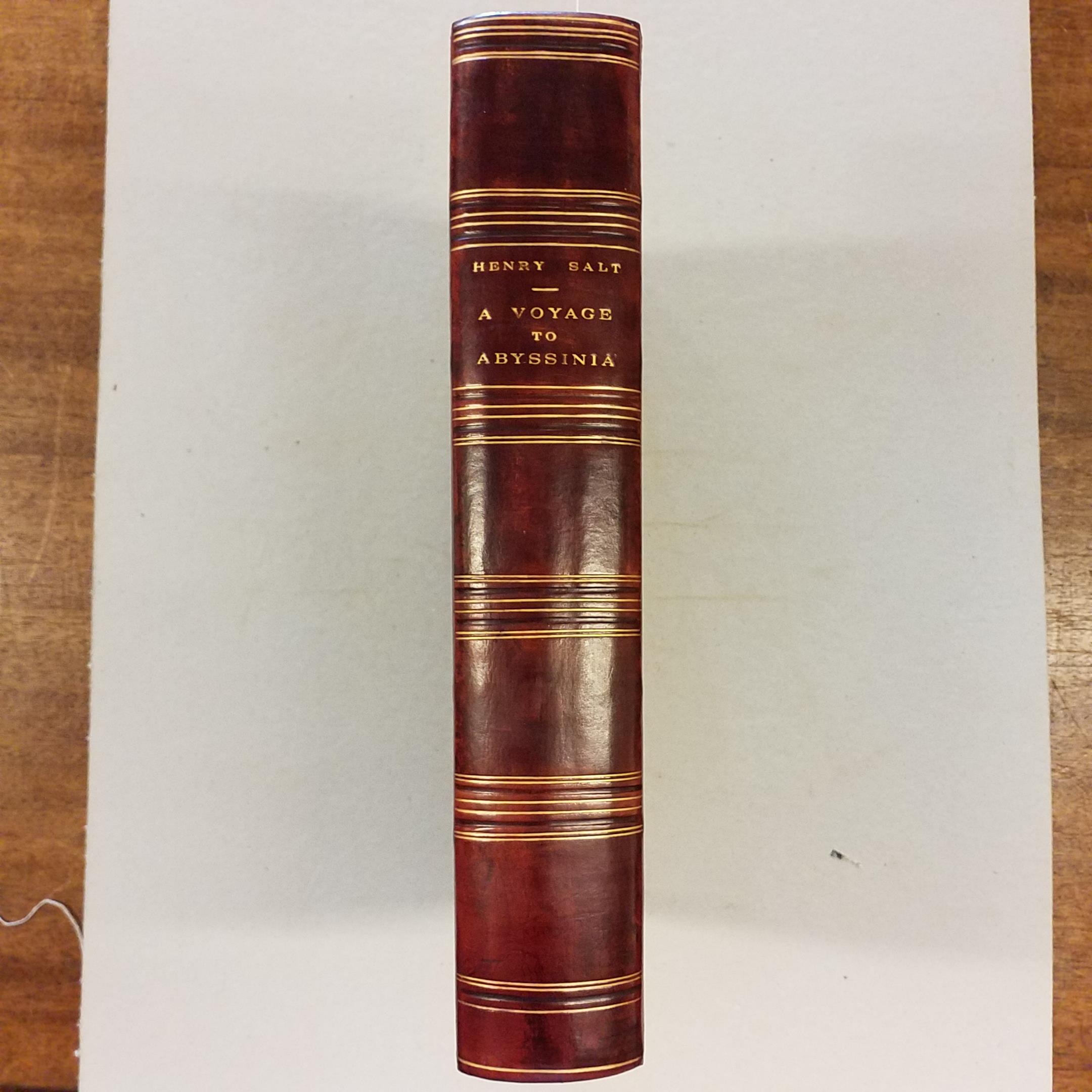 Lot 83 Salt (Henry).