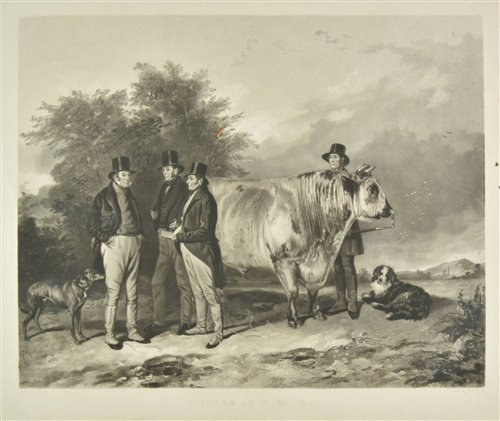 Lot 343 - Simmons (William Henry)