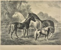 Lot 323 - Horses