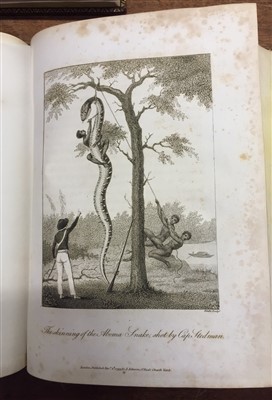 Lot 92 - Stedman (John Gabriel). Expedition against the Revolted Negroes of Surinam, 1st edition, 1796