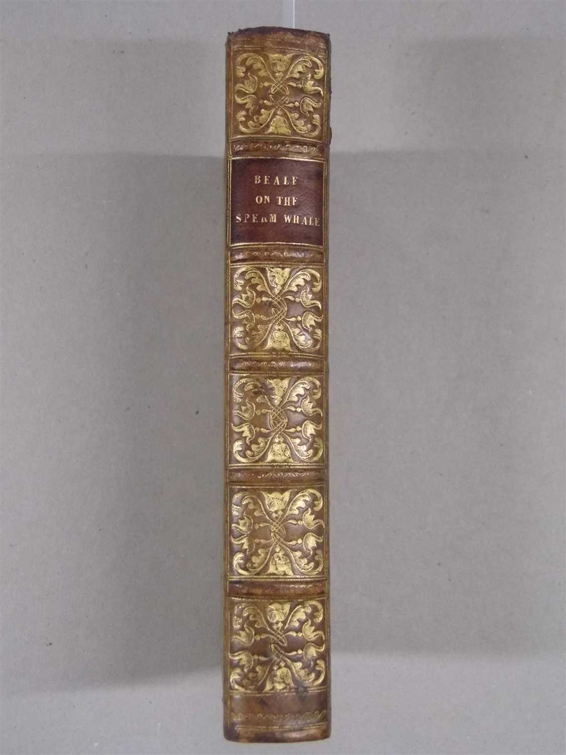 Lot 13 - Beale (Thomas). The Natural History of the Sperm Whale, 2nd edition, John van Voorst, 1839