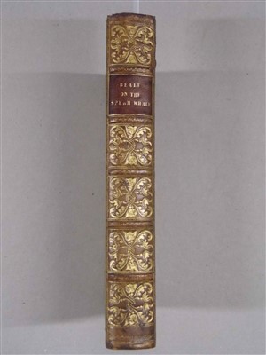 Lot 13 - Beale (Thomas). The Natural History of the Sperm Whale, 2nd edition, John van Voorst, 1839