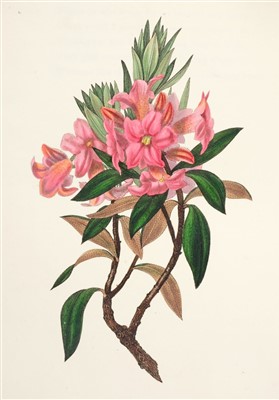 Lot 370 - Hey (Rebecca). The Moral of Flowers, 1833