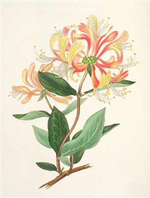 Lot 370 - Hey (Rebecca). The Moral of Flowers, 1833