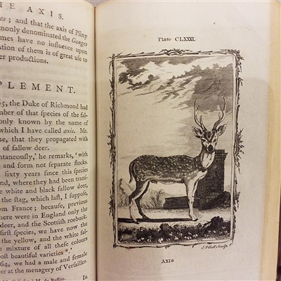 Lot 185 - Buffon (Georges Louis Leclerc De).