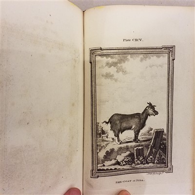 Lot 185 - Buffon (Georges Louis Leclerc De).