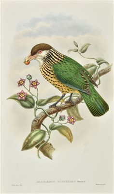 Lot 210 - Gould (John & Hart W.). Aeluroedus Arfakianus (Arfak Mountain Cat Bird), c.1894