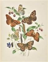 Lot 192 - Humphreys (Henry Noel). British Butterflies and their Transformations, 1st edition, 1841