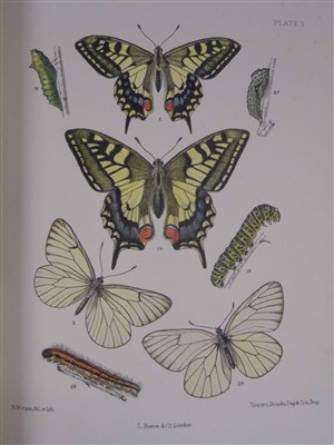 Lot 182 - Barrett (Charles G.). Lepidoptera of the British Islands, 11 volumes, 1st edition, [1892]-1907