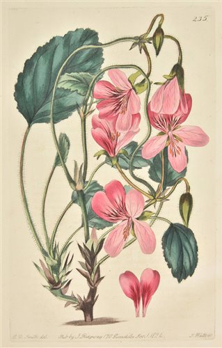 Lot 200 - Sweet (Robert), Geraniaceae., 1820-24