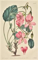 Lot 200 - Sweet (Robert), Geraniaceae., 1820-24