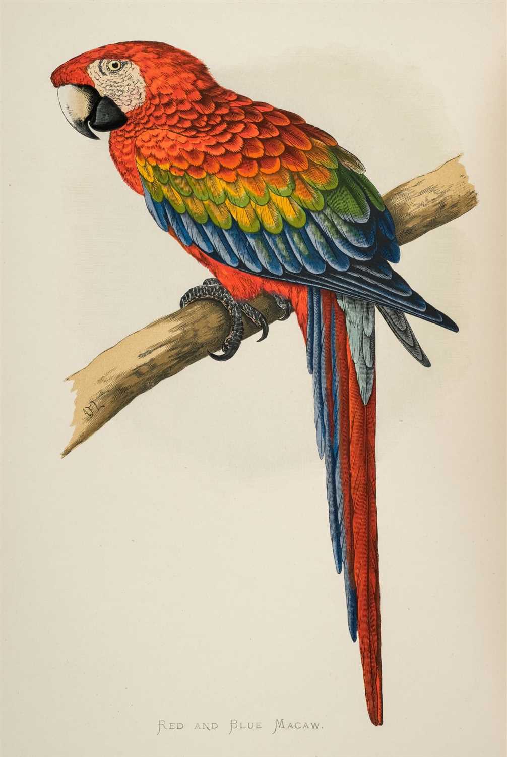 Lot 388 - Greene (W. T.). Parrots in Captivity, 1884-1887