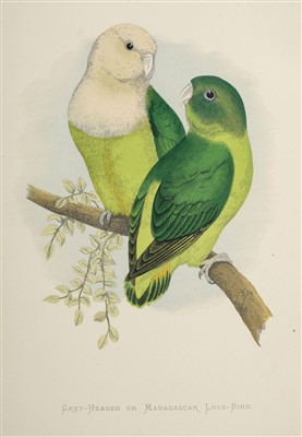 Lot 388 - Greene (W. T.). Parrots in Captivity, 1884-1887