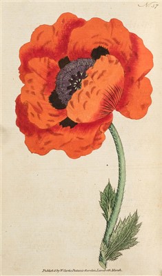 Lot 302 - Curtis (William). The Botanical Magazine or Flower-Garden Displayed, 1787-1794