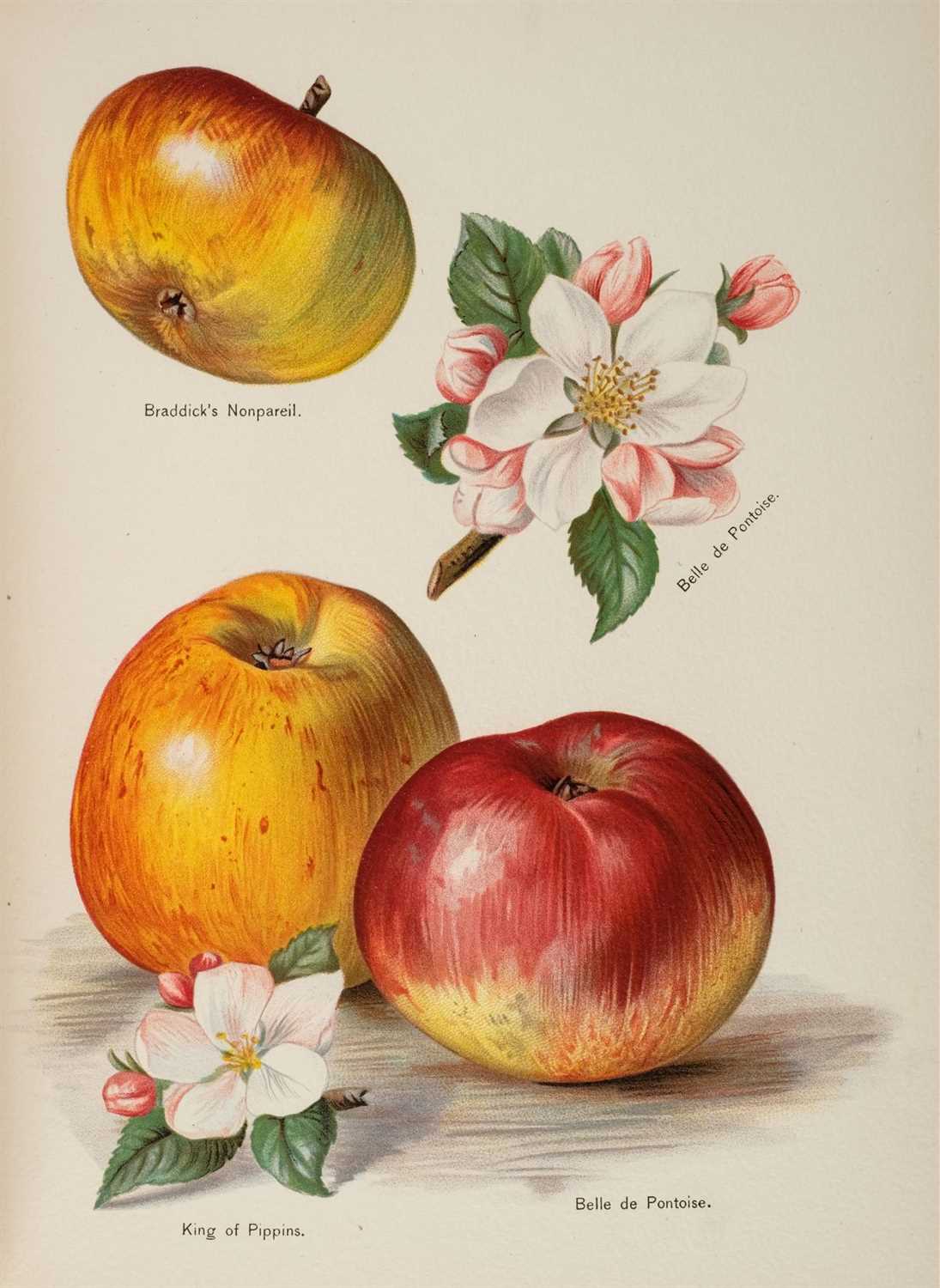 Lot 390 - Wright (John). The Fruit Grower's Guide, circa 1890