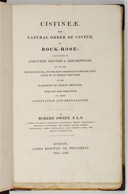 Lot 365 - Sweet (Robert). Cistineae, 1825-1830