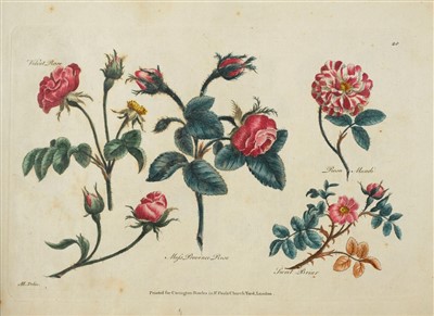 Lot 285 - Heckle (Augustin). Drawing Book for Ladies; or Complete Florist, [1785?]