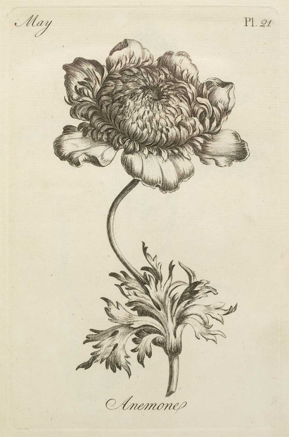 Lot 233 - Sayer (Robert, publisher). The Florist, 1st edition, [c.1760]