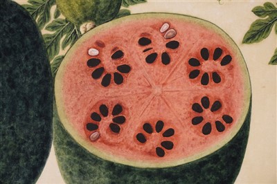 Lot 409 - Company School. Mandikai Cucumis Citrullus, Water Melon, circa 1825