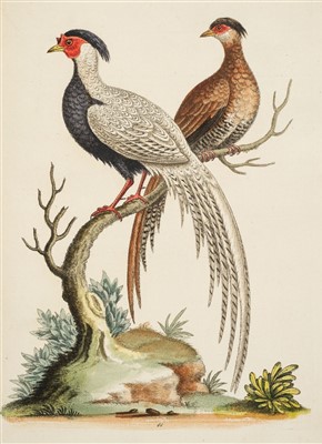 Lot 204 - Edwards (George). Natural History of Uncommon Birds, 1743-51