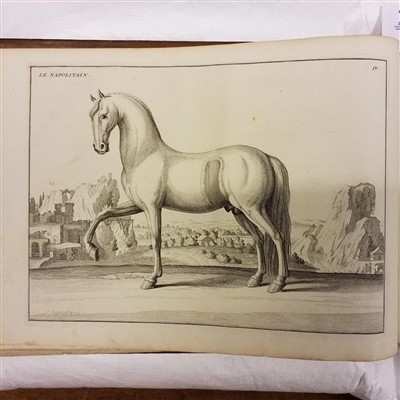 Lot 229 - D'Eisenberg (Friedrich Wilhelm, Baron von). L'Art de Monter a Cheval, 1759
