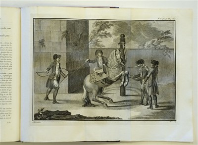 Lot 303 - Andrade (Manoel Carlos de). Luz da Liberal, 1790