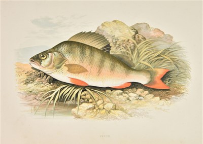 Lot 125 - Houghton (William). British Fresh-Water Fishes, 2 volumes, 1st edition, 1879