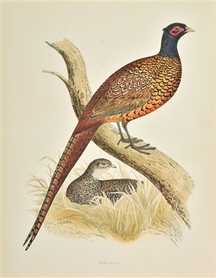 Lot 135 - Morris (Beverley R.). British Game Birds and Wildfowl, 1st edition, 1855