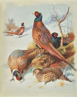 Lot 145 - Thorburn (Archibald). British Birds, 4 volumes, 1st edition, 1915-16