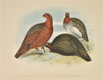 Lot 134 - Millais (John Guille). Game Birds and Shooting-Sketches, 1st edition, 1892