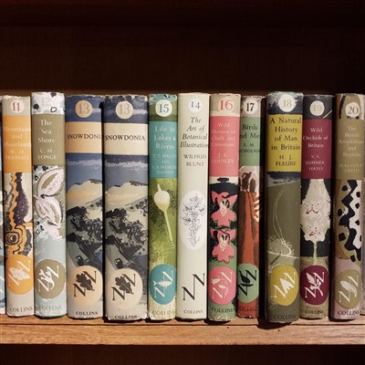 Lot 137 - New Naturalist Series. 37 volumes, 1945-80