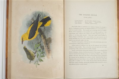 Lot 86 - Keulemans (John Gerrard). A Natural History of Cage Birds, 1st edition, 1871