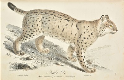 Lot 97 - Nilsson (Sven). Illuminerader Figurer till Skandinaviens Fauna, 1832-40