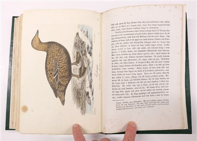 Lot 97 - Nilsson (Sven). Illuminerader Figurer till Skandinaviens Fauna, 1832-40