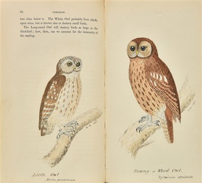 Lot 79 - Hewitson (William C). Eggs of British Birds, 2nd edition, 1842-6, extra-illustrated